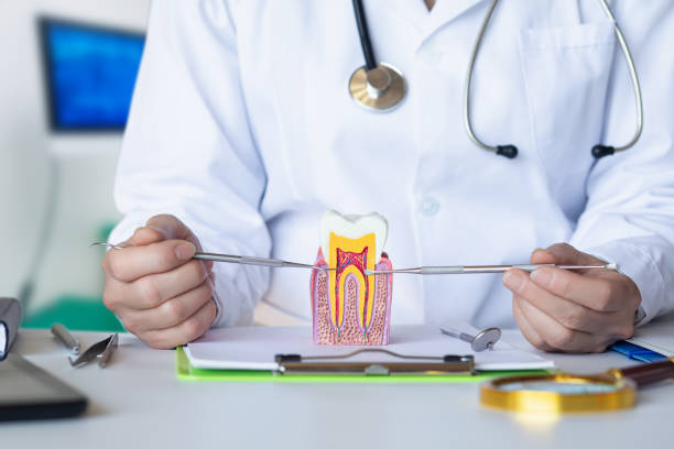 Best Emergency Wisdom Tooth Extraction in Erma, NJ